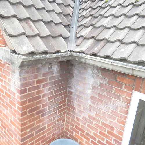 penetrating damp surveys - chartered surveyors in Cheshire, Staffordshire, Shropshire, North Wales.